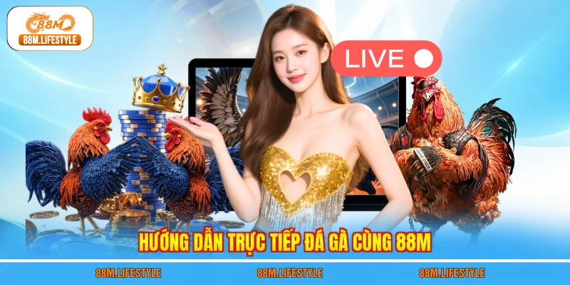 Hướng dẫn trực tiếp đá gà cùng 88M