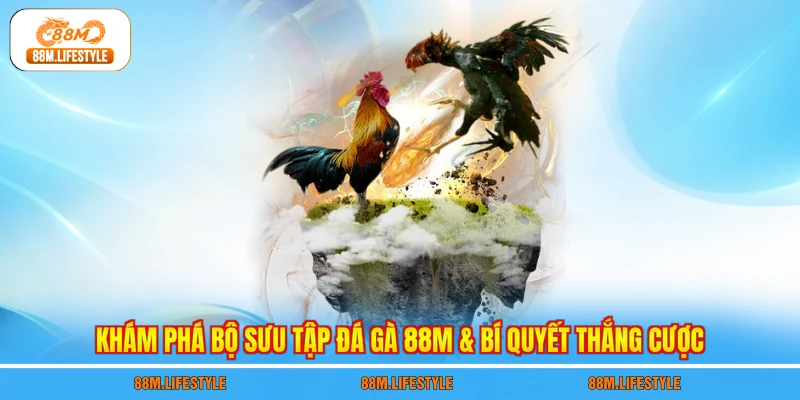 Khám phá bộ sưu tập đá gà 88M & bí quyết thắng cược