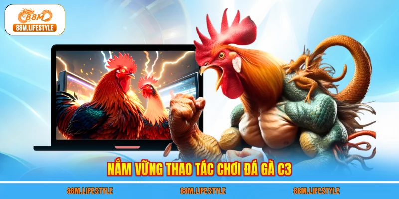 Nắm vững thao tác chơi đá gà c3